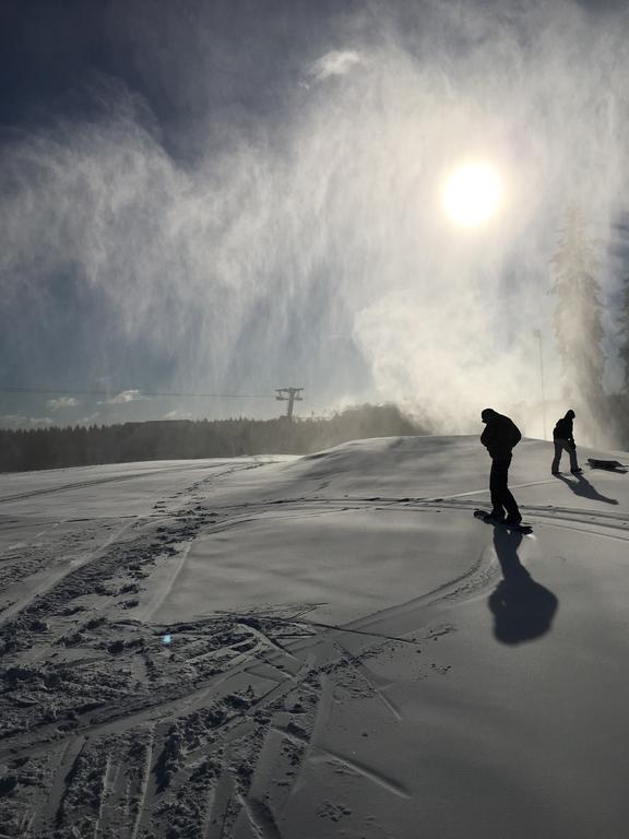 Rad-ski